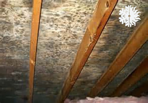 Attic Mold removal