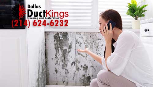 Black Mold removal