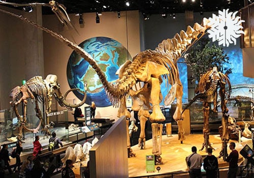 Dallas Perot Museum Of Nature And Science