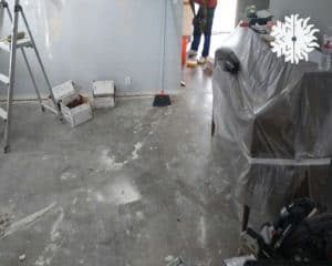 removing mold from home in dallas