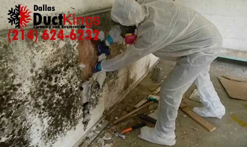 Mold Remediation technician working