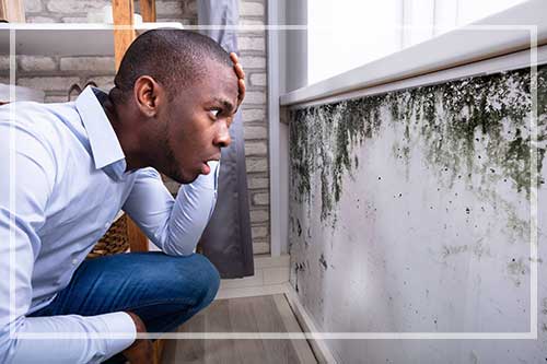 people looking at a wall in the family room with mold and dirt that need cleaning service